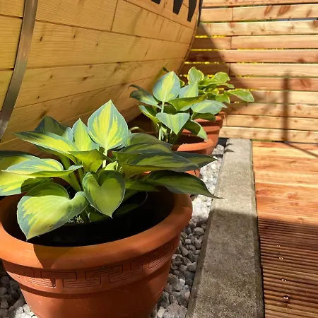 Tiny House Gaensebluemchen * Kirchanschoring